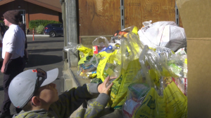 Saturday volunteers picked up bags of donations off doorsteps around Edmonton during the city's largest food drive for the Edmonton Food Bank. (CTV News Edmonton/Jessica Robb)