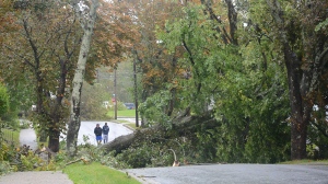 Pedestrians survey the damage in Sydney, N.S. as post tropical storm Fiona continues to batter the Maritimes on Sept. 24, 2022. (THE CANADIAN PRESS/Vaughan Merchant)