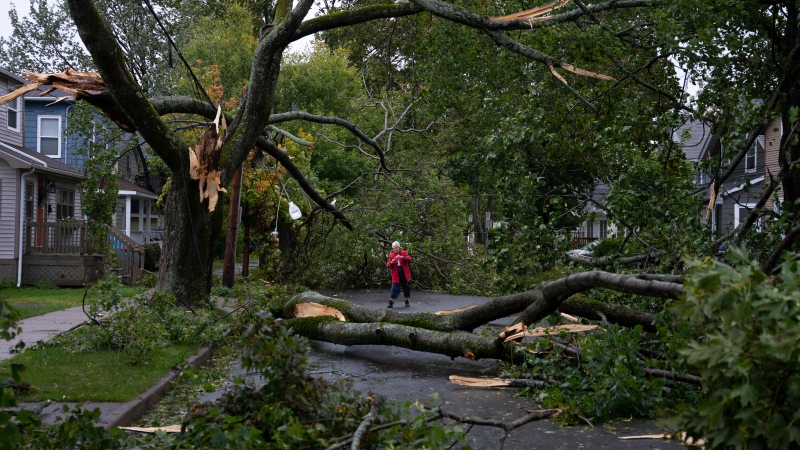 Georgina Scott surveys the damage on her street in Halifax as post-tropical storm Fiona continues to batter the Maritimes on Sept. 24, 2022. (THE CANADIAN PRESS/Darren Calabrese)