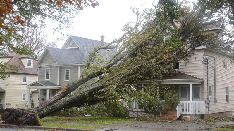 Fallen trees lean against a house in Sydney, N.S. as post tropical storm Fiona continues to batter the Maritimes on Saturday, September 24, 2022. THE CANADIAN PRESS/Vaughan Merchant 
