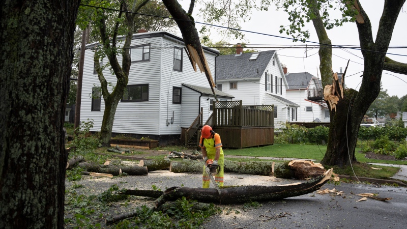 An arborist works to clear fallen trees and downed wires from damage caused by post tropical storm Fiona in Halifax on Saturday, September 24, 2022. THE CANADIAN PRESS/Darren Calabrese 