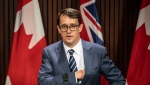 Ontario’s Minister of Labour Monte McNaughton is shown in a file photo.
