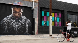 A mural in L.A. by artist Shane Grammer of late actor Chadwick Boseman's character T'Challa from the 2018 film 'Black Panther,' on Sept. 8, 2020. (Chris Pizzello / AP) 