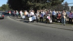 Dozens of seniors rallied at the field advocating for it to be turned into a park. (CTV News)