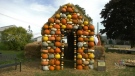 It took about 40 hours of welding to create the frame of the house and more than 500 pumpkins of all sizes.