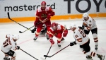 Kunlun Red Star's Ethan Werek, center, fights for the puck with Amur's Alexander Gorshkov, left, and Amur's Alexander Sharov, right, during the Kontinental Hockey League ice hockey match between Kunlun Red Star Beijing and Amur Khabarovsk in Mytishchi, just outside Moscow, Russia, on November 15, 2021. Canadians continue to play hockey for KHL teams in Russia and Belarus despite the Canadian government’s warning to get out of those countries. The 48 Canadian players currently on KHL club rosters this season is the most from any country outside Russia. (THE CANADIAN PRESS/AP, Alexander Zemlianichenko)