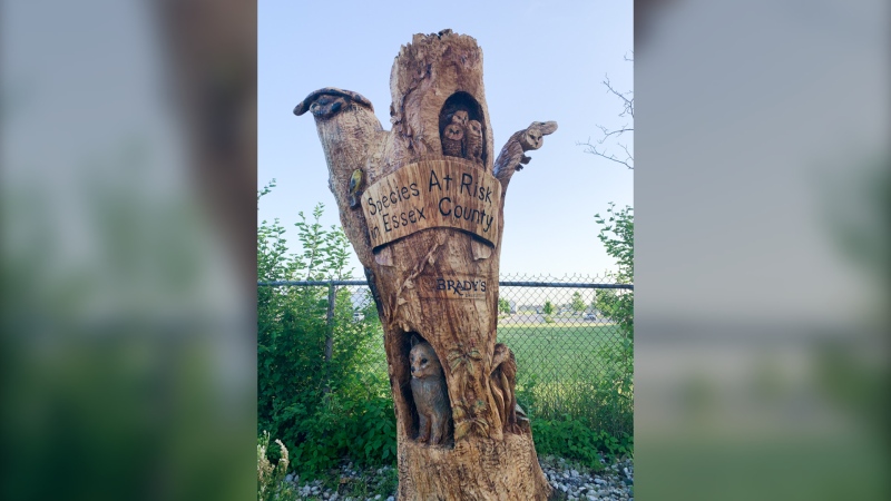 Brady’s Drug Store commissions a tree sculpture to highlight Essex County species at risk. (Source: Brady’s Drug Store)