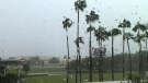 Hurricane Ian watch as it approaches Florida