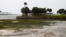 CTV News in Tampa Bay: Massive hurricane landing 