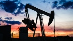 A pumpjack draws out oil from a well head near Calgary, Alta., Saturday, Sept. 17, 2022. THE CANADIAN PRESS/Jeff McIntosh