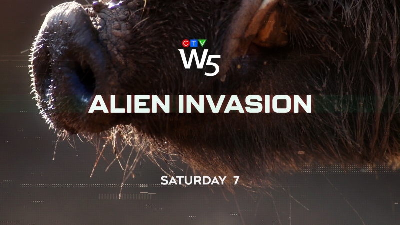 W5: Alien Invasion
