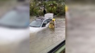 Firefighters in Naples, Fla., rescued a woman trapped in her car as Hurricane Ian created massive floods on Sept.28.