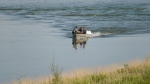 A search team is seen on the South Saskatchewan River near St. Louis. (CTV News)