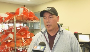 Agricultural studies are constantly occurring in the lab at the Ontario Crops Research Centre in New Liskeard. (Photo from video)