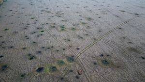Artillery craters are seen in the field from an aerial view in the recently liberated area of Kharkiv region, Ukraine, Friday, Sept. 30, 2022. (AP Photo/Evgeniy Maloletka)