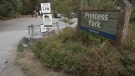 An employee has died on the job while working on some trees at a popular park in North Vancouver. (CTV)