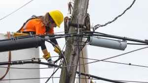 A utility worker inspects a power pole. (Source: Nova Scotia Power/Twitter) 
