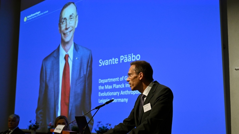 Thomas Perlmann, member of the Nobel Committee for Physiology or Medicine, announces the winner of the 2022 Nobel Prize in Physiology or Medicine to Swedish scientist Svante Paabo, pictured on the screen, during a press conference at the Karolinska Institute in Stockholm, Sweden, Oct. 3, 2022. (Henrik Montgomery/TT News Agency via AP)
