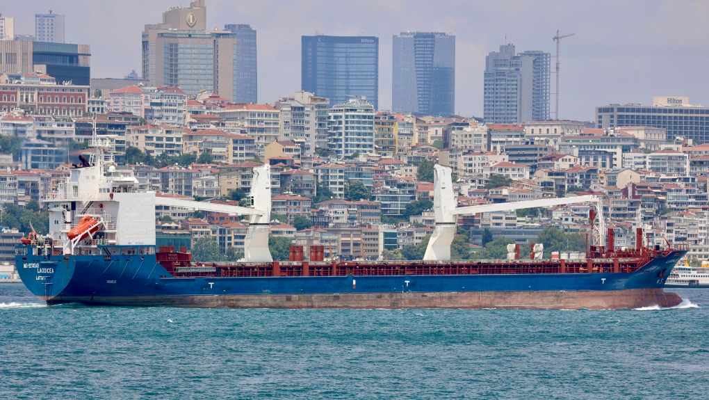Cargo ship Turkey