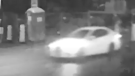 Police are looking for the driver of a car that hit and killed a pedestrian in Montreal. SOURCE: SPVM