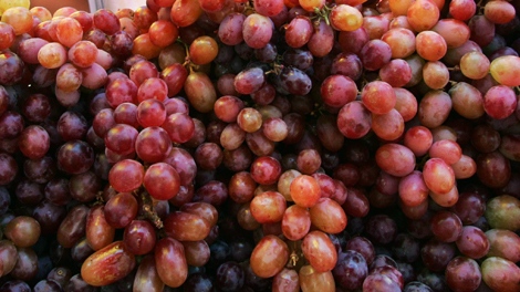 Both apples and grapes produce fruit that matures late in the season. (AP / Pat Roque)