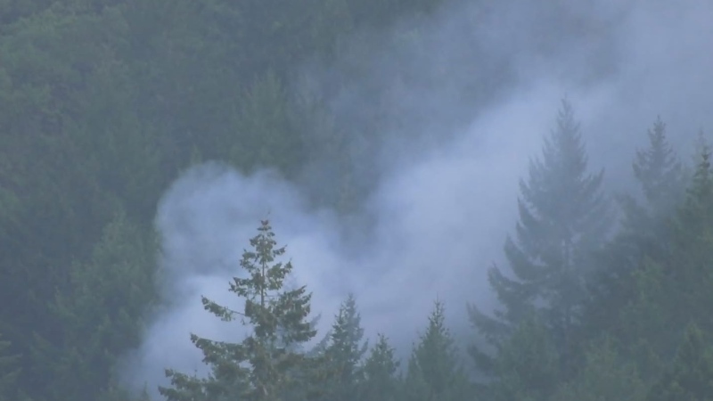 Island brushfire believed to be sparked by hiker