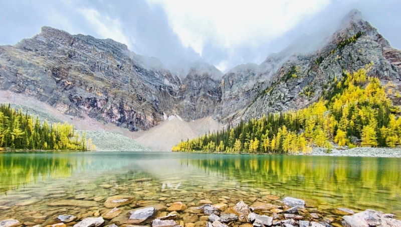 Larches can be seen at Alberta's Arnica Lake in fall 2022. 
