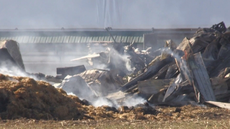 Animals dead after barn fire near Elmira