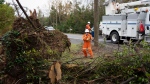 Workers clear debris around felled trees while fixing power lines near Lower Barneys River in Pictou County, N.S. on Wednesday, September 28, 2022 following significant damage brought by post-tropical storm Fiona. (THE CANADIAN PRESS/Darren Calabrese)