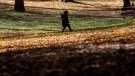 A child walks amongst fallen leaves on Mount Royal on a mild fall day in Montreal, Sunday, Oct. 17, 2021. THE CANADIAN PRESS/Graham Hughes