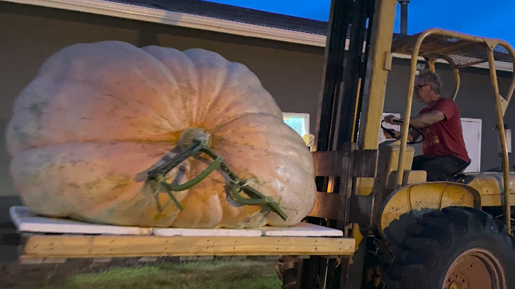 Alberta man grows giant 2,500-lb pumpkin