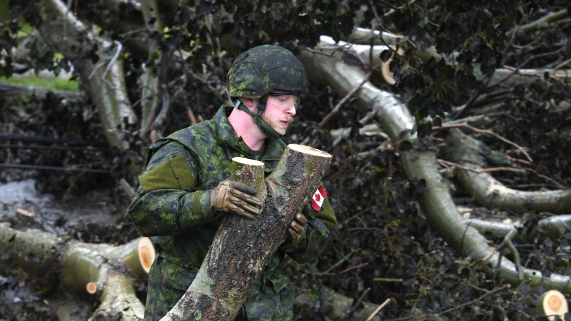 Cpl. Brandon McRae of the Cape Breton Highlanders removes brush under the direction of Nova Scotia Power officials in Glace Bay, N.S. on Sept. 26, 2022. THE CANADIAN PRESS/Vaughan Merchant