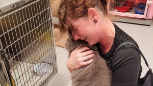 A Saskatoon woman was reunited with her cat Walter White after more than three years.