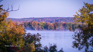 Autumn splendor near Cumberland, Ontario. (Tracy Lucking/CTV Viewer)
