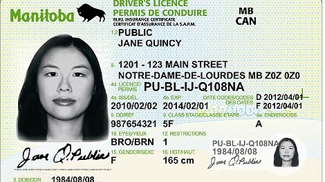 The new one-piece cards will be given out as people renew their licenses, says MPI.