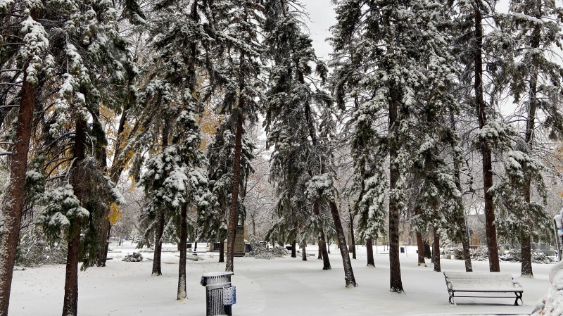The snow cover in the Queen City could be seen in Regina's Victoria Park. (Luke Simard/CTV News)