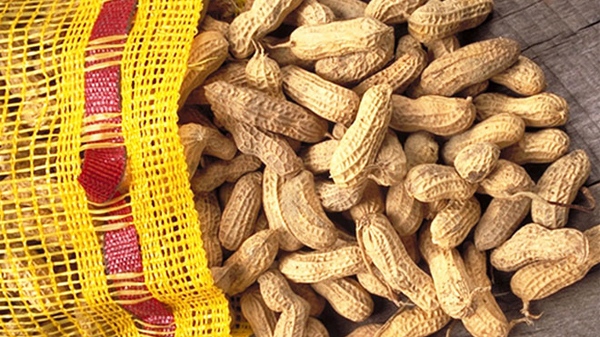 This undated file photo released by the U.S. Dept. of Agriculture shows a bag of peanuts.