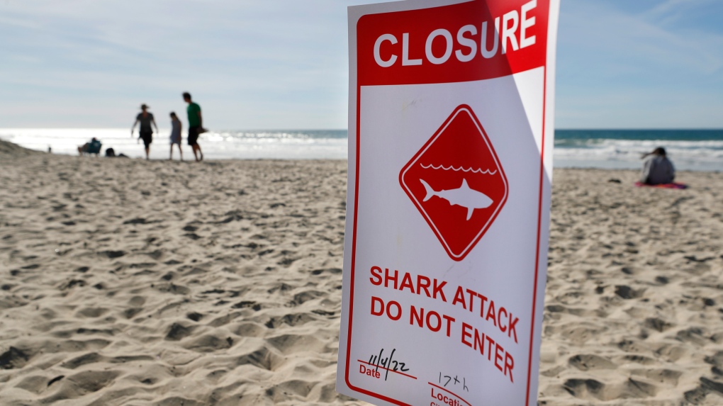 Shark attack sign