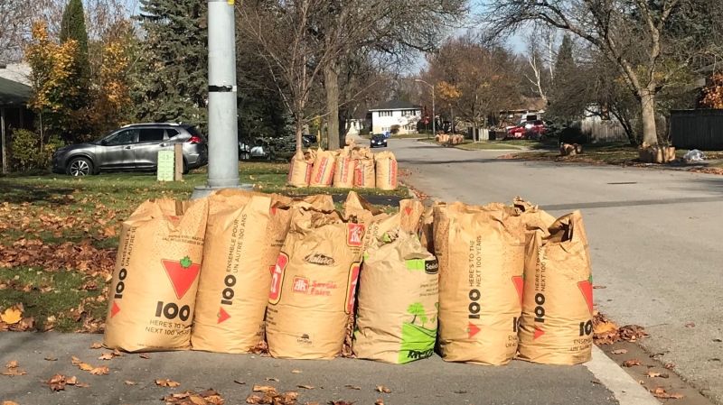 Bags of yard waste line driveways in a Barrie, Ont. (CTV News Barrie)