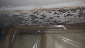 Mould seen in the rented home of Arnold Courchene. he said he has been dealing with the problem for seven months. Nov. 15, 2022. (Source: Arnold Courchene)