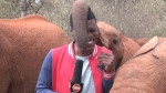 Elephant interrupts reporter in Kenya
