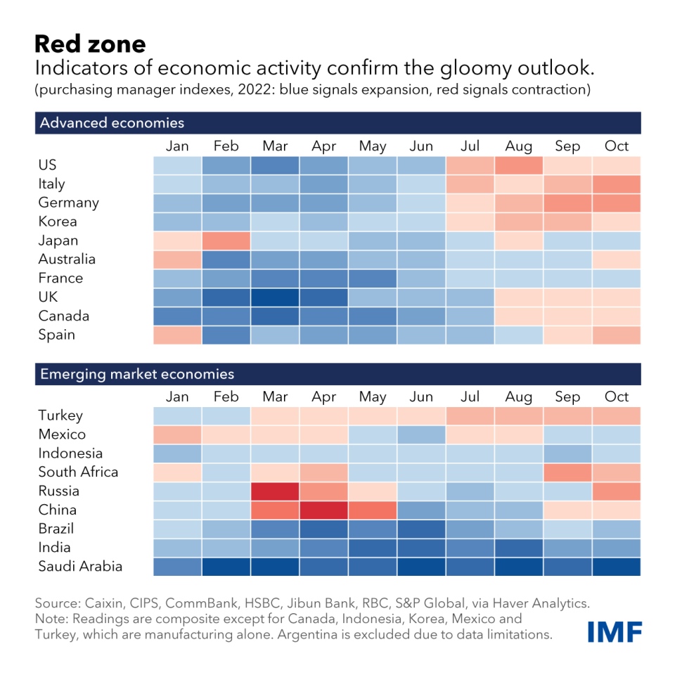 IMF's survey based measures