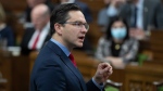 Poilievre questions gov't inaction on painkiller s