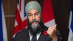 New Democratic Party leader Jagmeet Singh speaks about the governments fiscal update, Thursday, November 3, 2022 in Ottawa. THE CANADIAN PRESS/Adrian Wyld