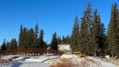 Prince Albert's 500-hectare forested park, Little Red River Park, provides year-round recreational opportunities.