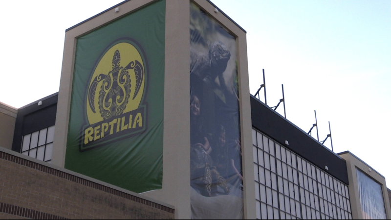 A Reptilia sign is seen outside London, Ont.'s Westmount Mall on Nov. 23, 2022. (Daryl Newcombe/CTV News London)