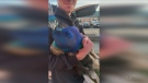Sawatsky Sign-Off- Peacock Rescue