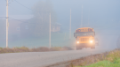 Schools across the region are experiencing delays due to foggy weather. Nov. 24, 2022 (DonLand/iStock/Getty Images Plus)