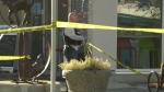The stabbing occurred in the early morning hours of Nov. 24, 2022. (CTV News)