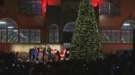 Lighting the giant Lansdowne Park Christmas Tree